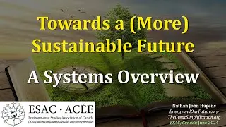 A Systems Approach Towards a (More) Sustainable Future: An Invitation to Academia