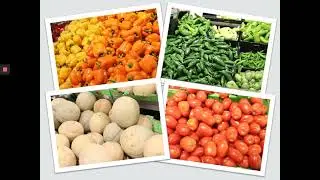 English Virtual Food Safety Education Program