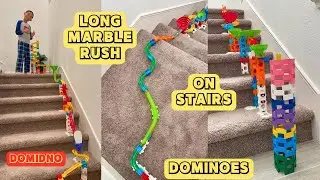 LONG MARBLE RUSH ON STAIRS + DOMINOES (DOMIDNO)  @timothyspreciousmoments