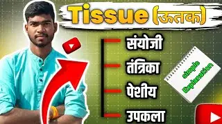 Types Of Humen Tissue | Tissue Functions | Histology in Hindi 