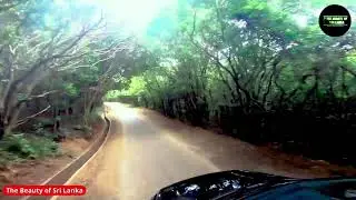 Road to Riverstone SRI LANKA