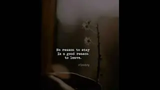 Psychology in quotes: No matter to stay&hellip;/17.09.22