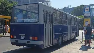 Utazás a budapesti N109-es Ikarus 260-as nosztalgiabusszal!