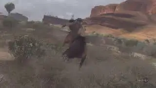 Red Dead Redemption_Horse catching