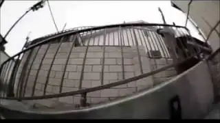 tom asta color theory