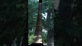 Custom Deck Build