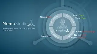 Nemo Studio 2025