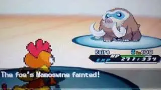 ~EPIC SCRAFTY SWEEP~ PKMN BW2 Wi Fi Battle