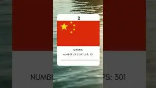 Top 3 countries with highest unicorn startups. 🌍#thetop3 #india #china #unitedstatesofamerica