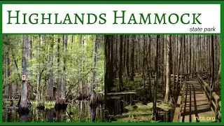 Highlands Hammock State Park