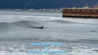 Surfers Tackle Ice-Cold Waves in Seward, Alaska