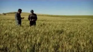 GCTV1: Low Risk Farming