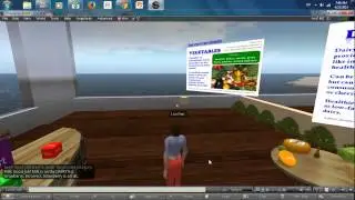 Second Life NutriCafe Simulation