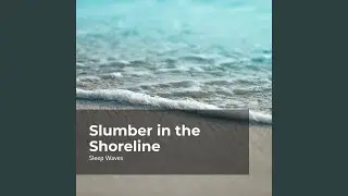 Snooze in the Seacoast