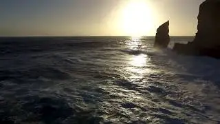 Sandune Surf Company