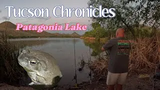 Tucson Chronicles Patagonia Lake