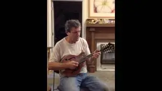Baggett Alaverz Mandolin