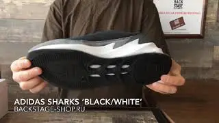 Adidas Sharks Black White