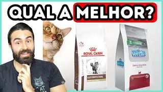 Royal Canin Gastro Intestinal vs Vet Life Gastro Intestinal: Qual Ração é MELHOR Para Gato?