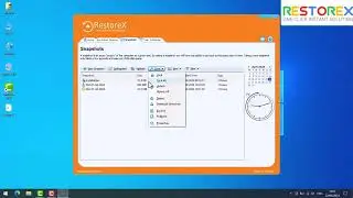 How to Lock and Unlock all Snapshots in RestoreX