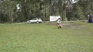 Соревнования 