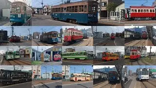 みどりの日の函館市電撮り鉄