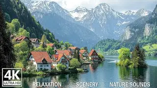 Peaceful Piano Music 🎧 with Nature Sounds 🌿 for Focus, Study and Deep Work