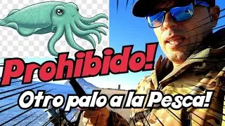 Prohibido PESCA de CEFALOPODOS,nuevo ATAQUE a la PESCA deportiva Andaluc&iacute;a 