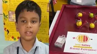Free Energy Using Lemon - demo and explain by M.Abdullah