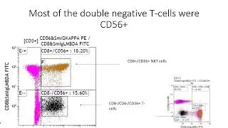 Double Negative (CD4-/CD8-) NKT (CD3+/CD56+) cells, and CD8+ NKT cells both monotypic for TR BC1