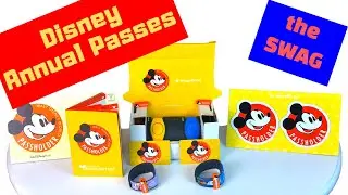 Disney Annual Pass Swag | What You Get with AP Membership