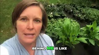 Jodi Cook: Tropical Plants for Legendary Escapes Pools #shorts
