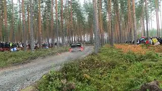 Wrc finlandia 2024