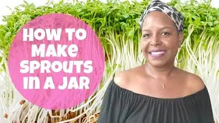 How to Sprout Seeds in a Jar to Reverse Anemia and Low Iron