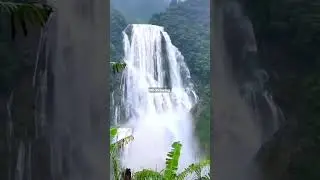 Relaxing music 🌿 healing music for the heart and blood vessels, relaxation, music for the soul