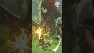 Lets`s Flurry Rush Lynel`s