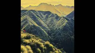 Te Araroa: hitting the wall
