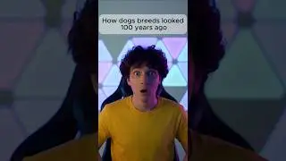 How dogs breeds looked 100 years ago #unique #viral #real #dog #breeding #look #100 #shots #fypシ