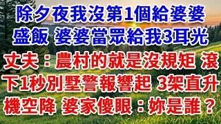 除夕夜我沒第1個給婆婆盛飯，婆婆當眾給我3耳光，丈夫：農村的就是沒規矩 滾！下一秒 別墅警報響起，3架直升機空降，婆家傻眼：妳到底是誰？#詩涵講故事#為人處世#生活經驗#情感故事#晚年哲理#說故事