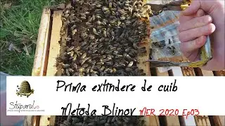 Metoda Blinov - Prima extindere de cuib - MER 2020 Ep03 [29 Feb]