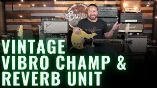 1966 Fender Vibro Champ | 1965 Fender Reverb Unit | Paul Jackson of Blackberry Smoke @ BGM