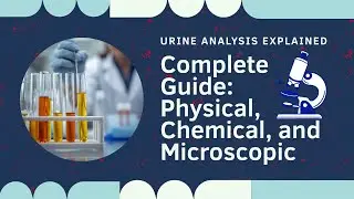 Urine Analysis Explained in Hindi | Physical, Chemical & Microscopic Tests | Pathology Students