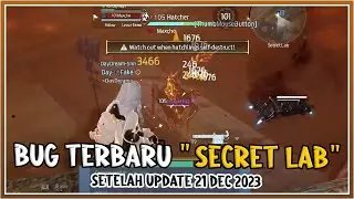 NEW BUG 