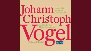 Symphony No. 1 in D Major: I. Allegro