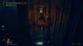 Jumping into Unte Ruins (SHADOW OF THE ERDTREE)