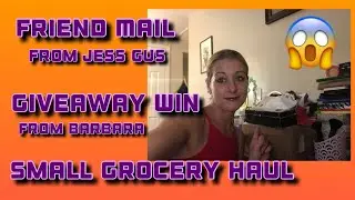 Friend mail from Jess Gus/ Barbara giveaway win/ small grocery haul