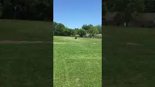 110 Tao Tao not bad for a Beginner Four wheeler