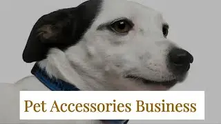 Pet Accessories Business
