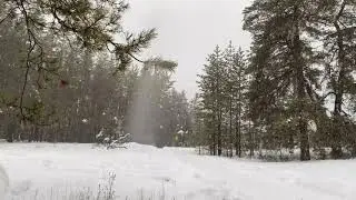 4K HD Deep forest snowfall - Ambient Nature Mood- spa relaxation-sleep-asmr-meditation sounds of nat