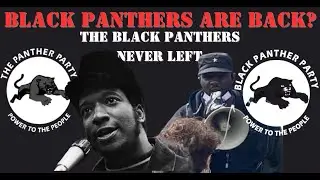 The Panthers are back: Colonial Outcasts breaks its No. 1 rule and announces political partnership